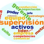 Experto Universitario en Supervisión